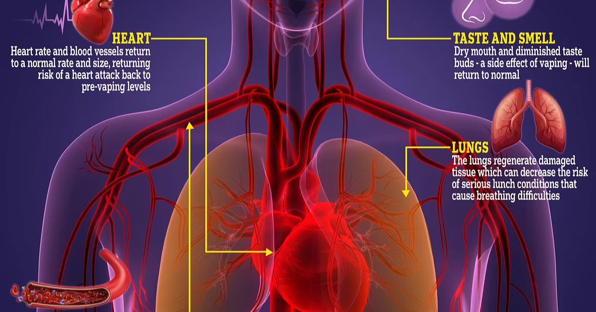 How Long Does It Take for Your Lungs to Heal From Vaping
