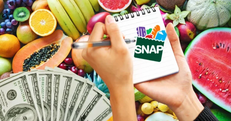 Snap Food Stamps Payments for December Are Underway in the United States