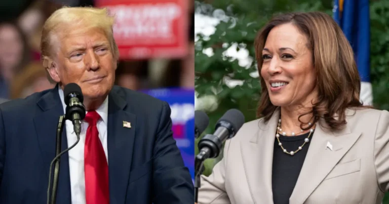 pelosi suggests trump may skip debate with harris due to cowardice